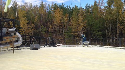 Stray Cat Industrial Services Ltd photo 2